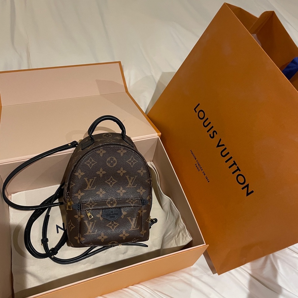 Louis Vuitton Palm Spring Mini